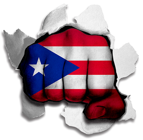 Fist Puerto Rico Flag Logo iron on paper